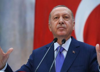 أردوغان يمجد النظام الرئاسي الذي منحه سلطة القرار الفردي