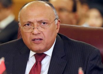 وزير خارجية مصر يبحث مع نظيريه الفرنسي والألماني ملف ليبيا