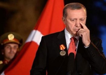 تركيا: ثورة المزارعين ضد حزب العدالة والتنمية