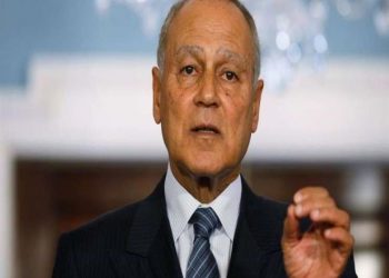 أبو الغيط: لا سلام عربي مع إسرائيل قبل نيل الشعب الفلسطيني حريته واستقلاله