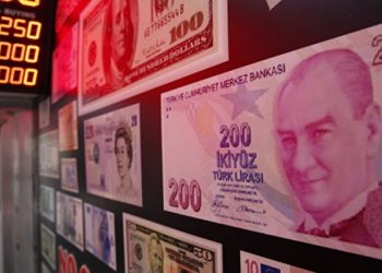 خبير اقتصادي ألماني: انهيار الليرة سيستمر