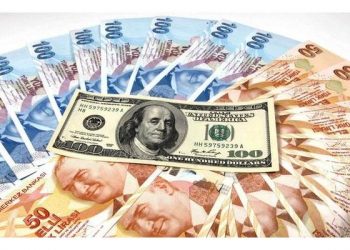 تركيا.. الدولار يسجل مستويات مرتفعة