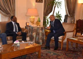 أبو الغيط يبحث مع رئيس الصومال دعم الجامعة العربية