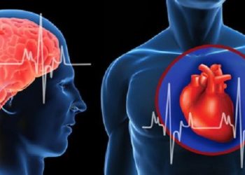 تعرف على أسباب الجلطة المفاجئة وأعراضها