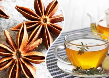 تعرف على فوائد اليانسون للصحة