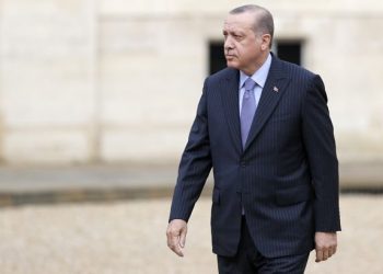 دبلوماسي فرنسي سابق: أردوغان يخدم باريس