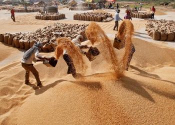 تركيا “الزراعية” تستورد 10 ملايين طن قمح!