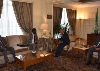 أبو الغيط يبحث تنفيذ اتفاق جوبا للسلام مع رئيس حركة تحرير السودان