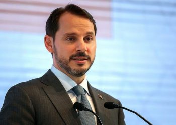 وزير المالية التركي: ارتفاع الدولار أمام الليرة غير مهم!