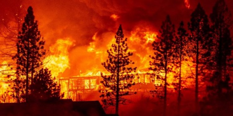 كاليفورنيا.. قتلى في الحرائق “الأكثر دموية” هذا العام