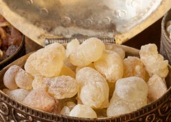 لبان الذكر.. أبرز الفوائد والخرافات