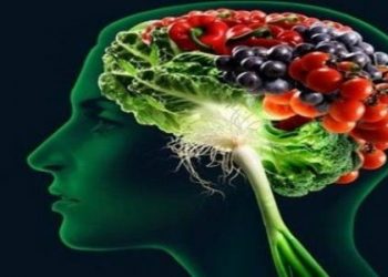 تعرف على الغذاء الأفضل للعقل والأعصاب..
