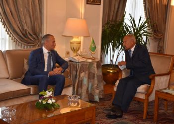 أبو الغيط يستقبل المنسق الأممي لعملية السلام بالشرق الأوسط