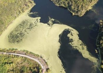 تركيا.. إسطنبول تشهد تراجعًا غير مسبوق في مخزون المياه