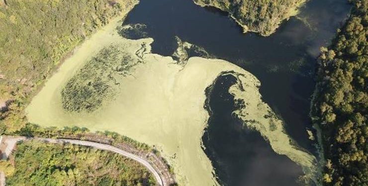 تركيا.. إسطنبول تشهد تراجعًا غير مسبوق في مخزون المياه