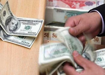 الدولار يسجل 8.18 ليرة في تركيا