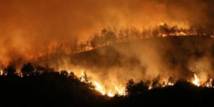 تركيا.. برلماني حرائق هطاي بمنطقة تخطط الحكومة لافتتاح مناجم فحم بها!