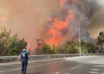 قيادي بالشعب الجمهوري: غابات هطاي تحترق بفعل فاعل