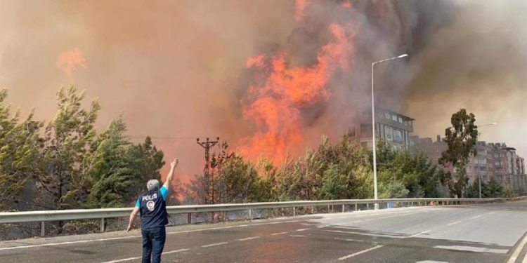 قيادي بالشعب الجمهوري: غابات هطاي تحترق بفعل فاعل