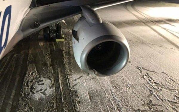 حادث غير مسبوق.. طائرة تصطدم بـ دُب !