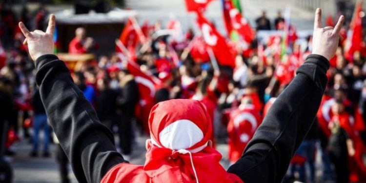 بعد ألمانيا وفرنسا.. هل يتم حظر “الذئاب الرمادية” في هولندا؟