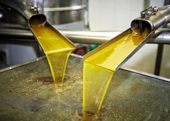 حتى الأشجار لم تسلم.. تركيا تستولي على زيت الزيتون السوري