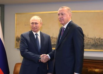 صحفي تركي: عادينا حلفائنا للتعاون مع دولة قتلت جنودنا!