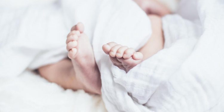 القبض على تشكيل عصابي يستقدم الحوامل من تركيا إلى أمريكا