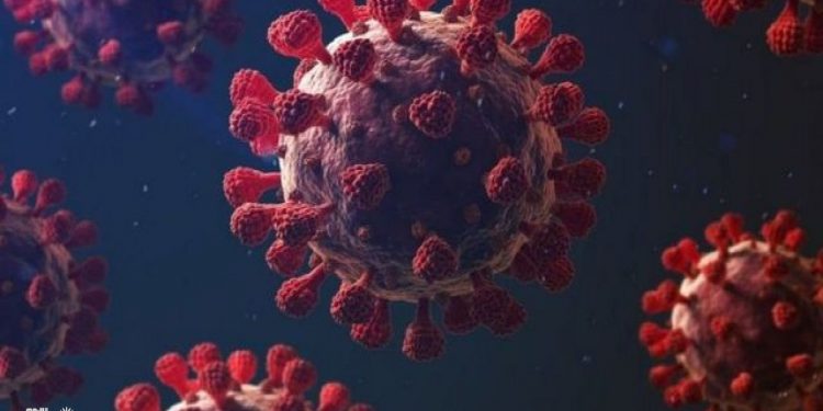 بريطانيا تكشف “أمرا خطيرا” عن سلالة كورونا الجديدة