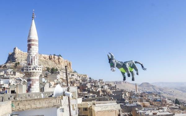 “الحمير” يطيرون في سماء مدينة ماردين شرق تركيا