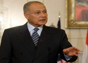 أبو الغيط يؤكد لوزير خارجية اليمن دعم الجامعة العربية للحكومة الجديدة