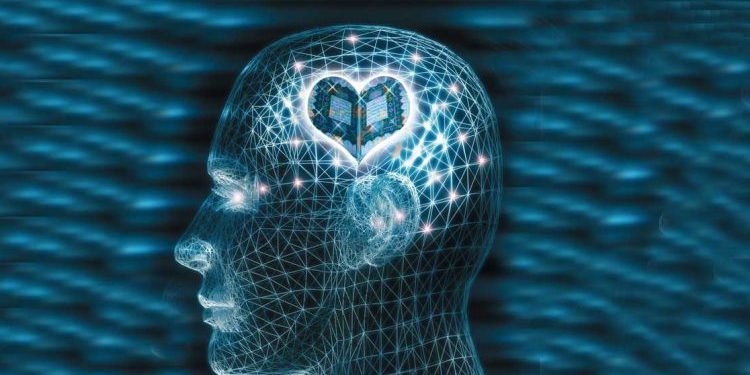 الإسلام بين العقل والقلب