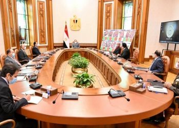 السيسي يوجه بالتركيز على العلوم الحديثة في الجامعات الجديدة