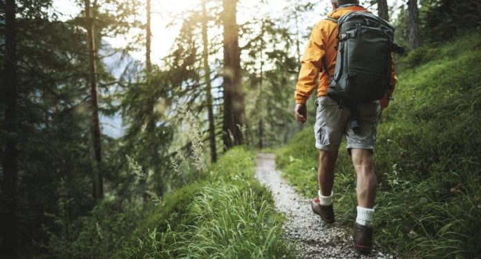 المشي في الطبيعة يريح العقل