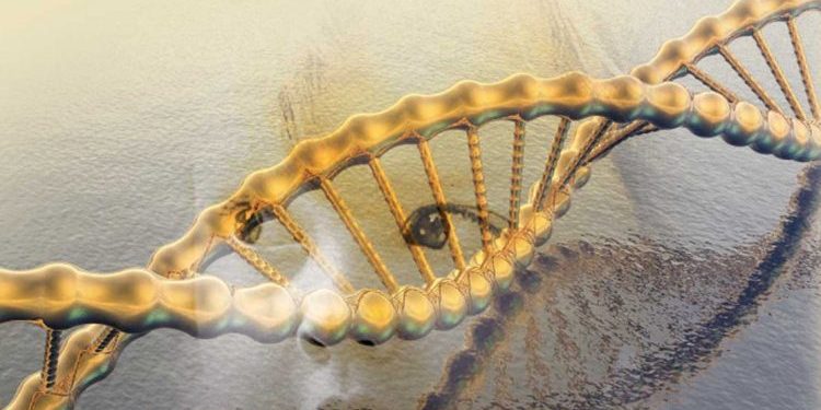 تهافت نظرية التطور