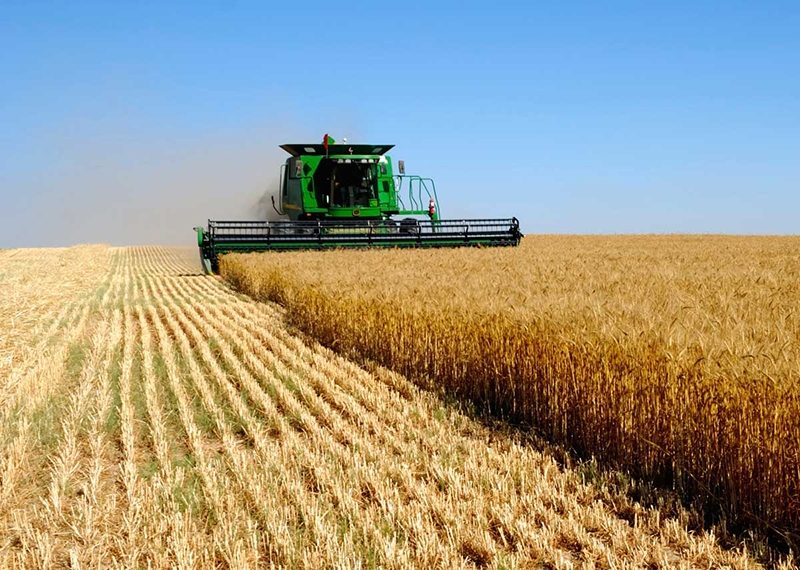 تركيا تحطم الرقم القياسي العالمي في واردات القمح