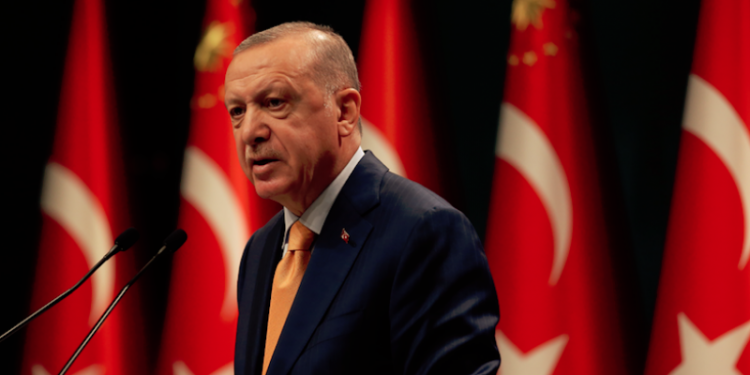 كاتب: أردوغان يريد دستورًا يعفيه من الالتزام بأي قرار قضائي أوروبي