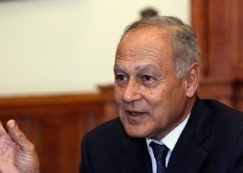 أبو الغيط يناقش مع المبعوث الأممي للسلام الوضع في فلسطين