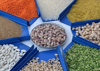 تركيا.. الواردات الزراعية تبلغ أعلى مستوياتها على الإطلاق