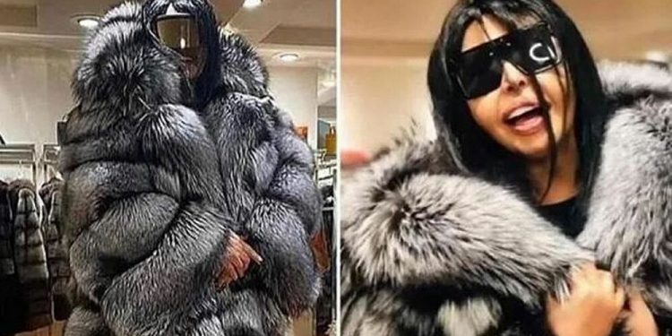 تركيا.. التضحية بـ55 ثعلبًا من أجل معطف فرو مغنية