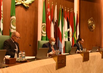 أبو الغيط: حل الدولتين هو المسار الوحيد للسلام بالمنطقة