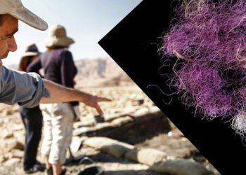 إسرائيل تعلن اكتشافًا أغلى من الذهب!