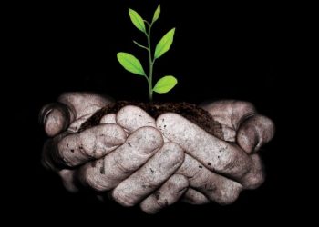 أبطال الحضارة