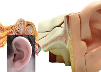 أنا أذُن عبد الله