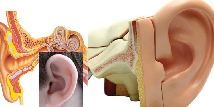 أنا أذُن عبد الله