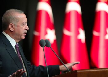 صحفي تركي: أسطورة أردوغان انتهت