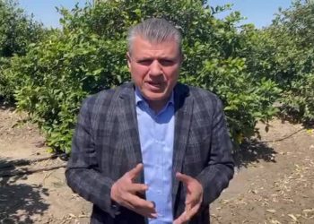 برلماني معارض: المٌزارع يعجز عن شراء السماد