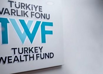 تركيا.. رئيس صندوق الثروة السيادي يلحق برئيس البورصة مقدما استقالته