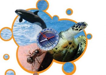 بوصلة لا تخطئ … تعيين الاتجاه لدى الحيوانات