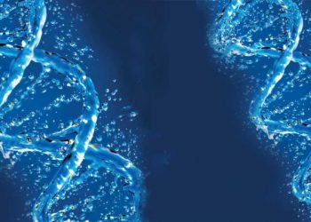 الشمبانزي والإنسان حسب علم الجينات